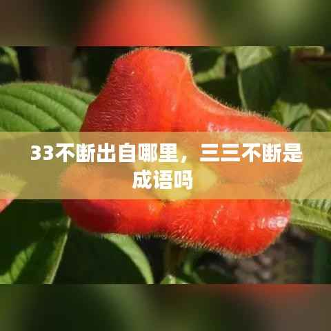 33不断出自哪里,三三不断是成语吗