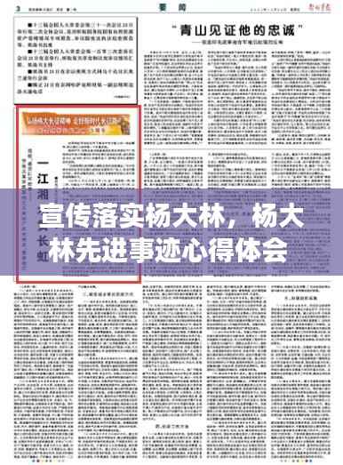 宣传落实杨大林,杨大林先进事迹心得体会