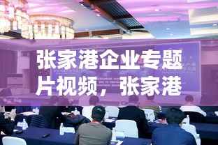 张家港企业专题片视频，张家港本地企业 
