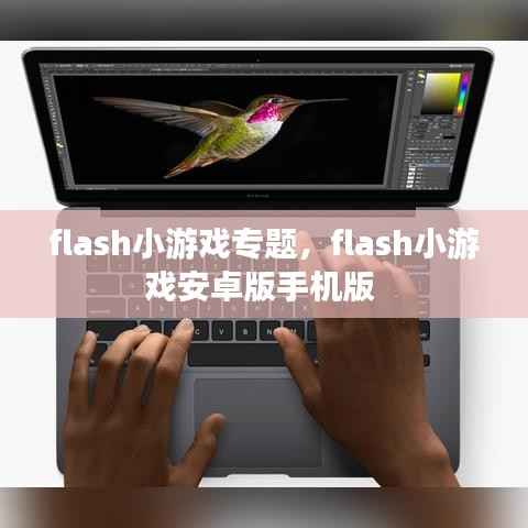 flash小游戏专题，flash小游戏安卓版手机版 