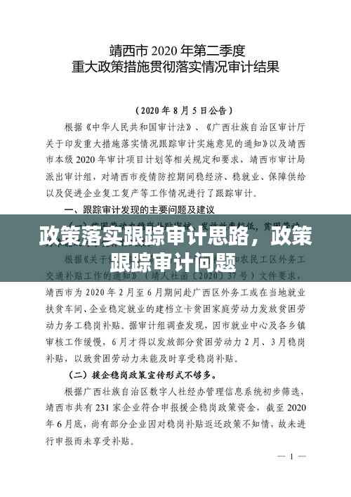 政策落实跟踪审计思路,政策跟踪审计问题