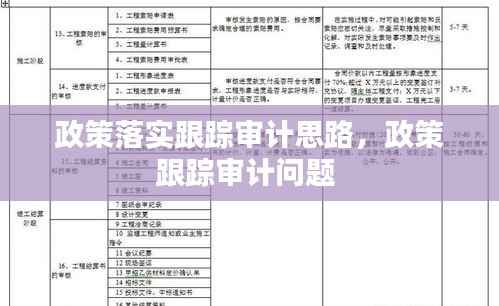 政策落实跟踪审计思路,政策跟踪审计问题