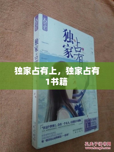 独家占有上，独家占有1书籍 