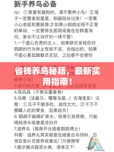 省钱养鸟秘籍,最新实用指南!