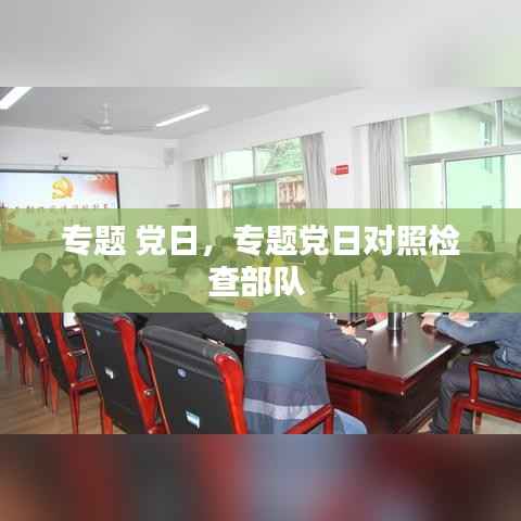 专题 党日，专题党日对照检查部队 