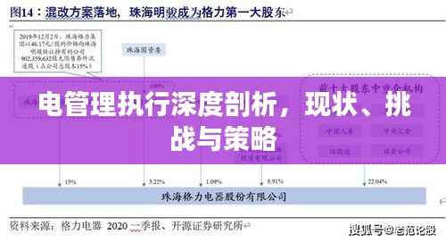 电管理执行深度剖析，现状、挑战与策略