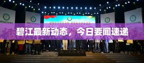 碧江最新动态，今日要闻速递