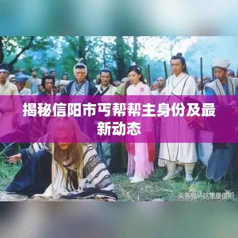 揭秘信阳市丐帮帮主身份及最新动态