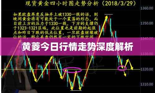 黄菱今日行情走势深度解析