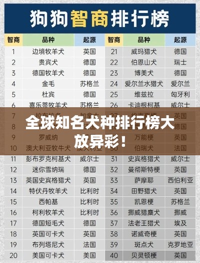 全球知名犬种排行榜大放异彩!