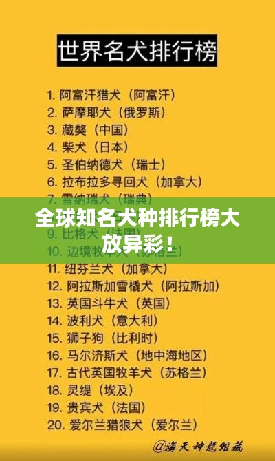 全球知名犬种排行榜大放异彩!