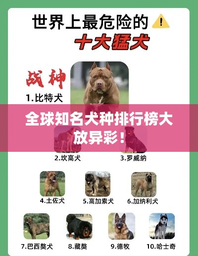 全球知名犬种排行榜大放异彩!