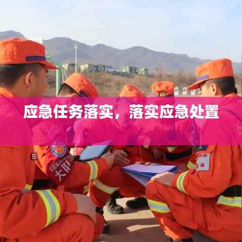 应急任务落实,落实应急处置