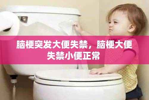 脑梗突发大便失禁,脑梗大便失禁小便正常