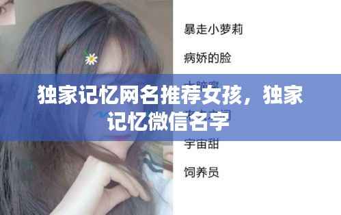 独家记忆网名推荐女孩，独家记忆微信名字 