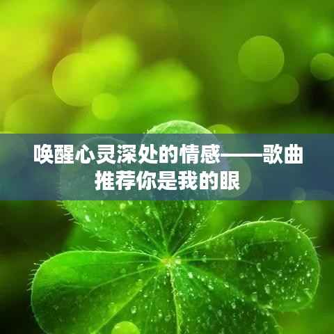 唤醒心灵深处的情感——歌曲推荐你是我的眼