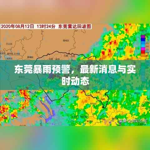 东莞暴雨预警，最新消息与实时动态