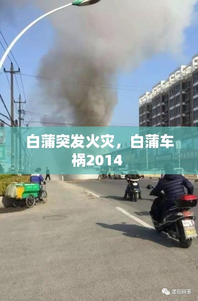 白蒲突发火灾，白蒲车祸2014 