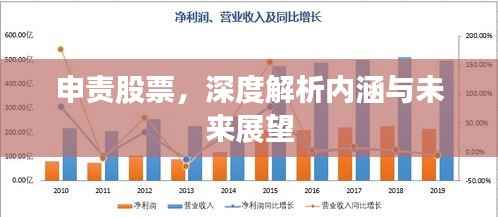 申责股票,深度解析内涵与未来展望