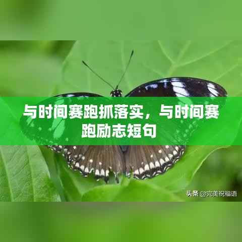 雍容典雅 第4页