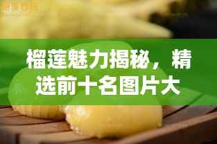 贵极人臣 第4页