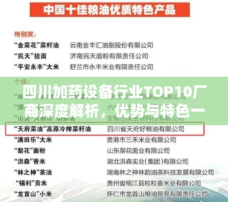 四川加药设备行业TOP10厂商深度解析，优势与特色一览