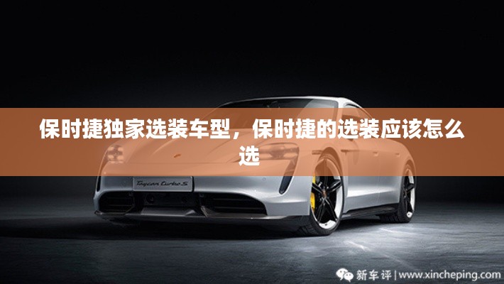 保时捷独家选装车型，保时捷的选装应该怎么选 