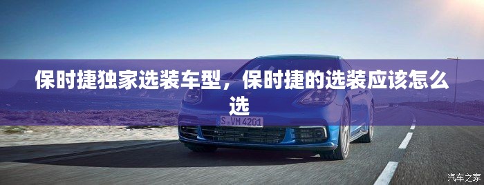 保时捷独家选装车型,保时捷的选装应该怎么选