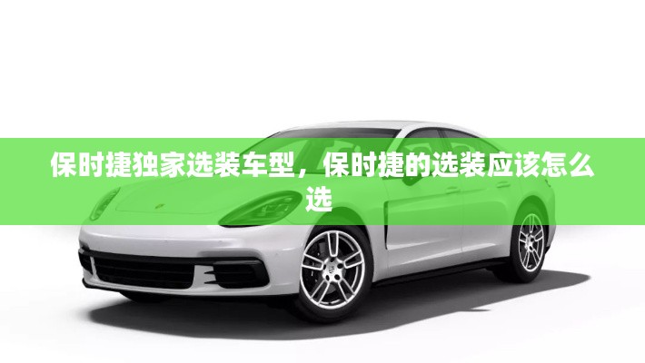 保时捷独家选装车型,保时捷的选装应该怎么选