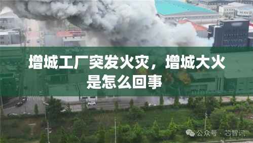 增城工厂突发火灾,增城大火是怎么回事