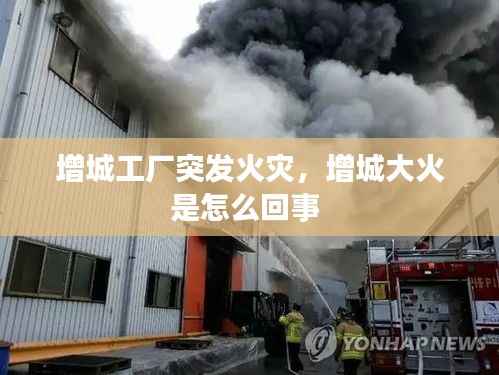 增城工厂突发火灾,增城大火是怎么回事