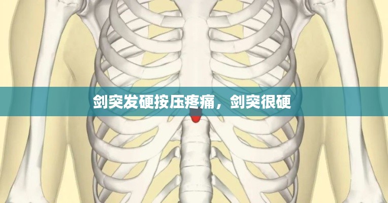 剑突发硬按压疼痛,剑突很硬