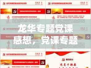 龙华专题党课感想，党课专题片 观后感 