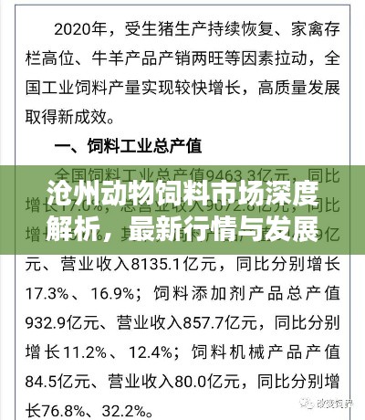 沧州动物饲料市场深度解析,最新行情与发展趋势