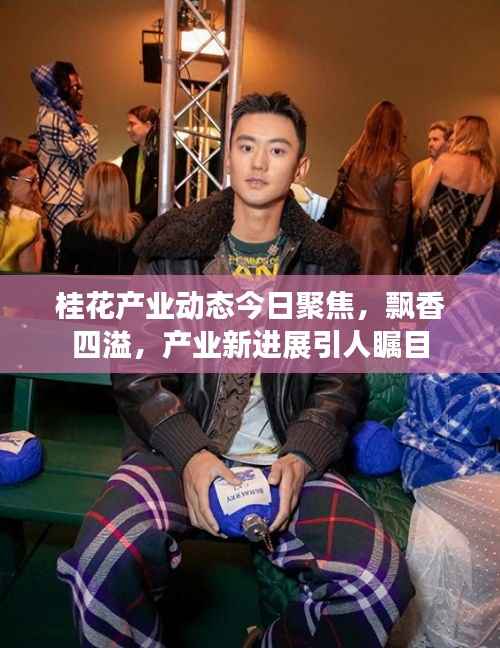 桂花产业动态今日聚焦，飘香四溢，产业新进展引人瞩目