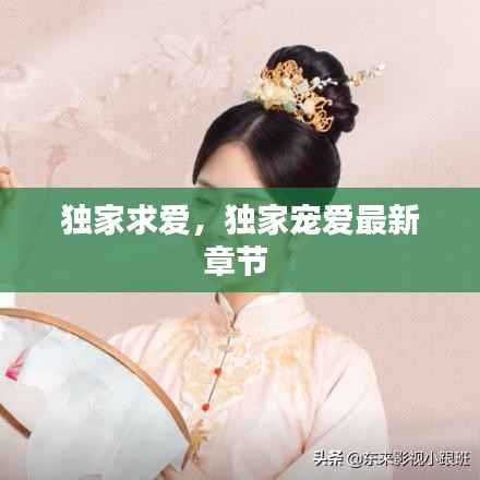 独家求爱,独家宠爱最新章节