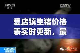 爱店镇生猪价格表实时更新,最新行情动态一网打尽!