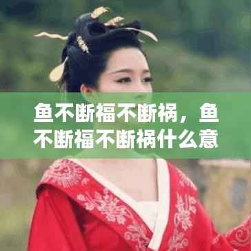 鱼不断福不断祸,鱼不断福不断祸什么意思