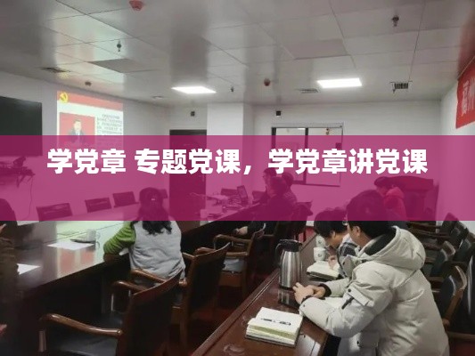 学党章 专题党课，学党章讲党课 
