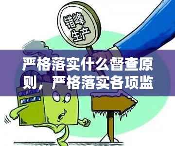 严格落实什么督查原则,严格落实各项监管要求