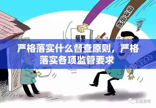 严格落实什么督查原则,严格落实各项监管要求