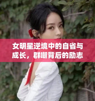 女明星逆境中的自省与成长，群嘲背后的励志故事