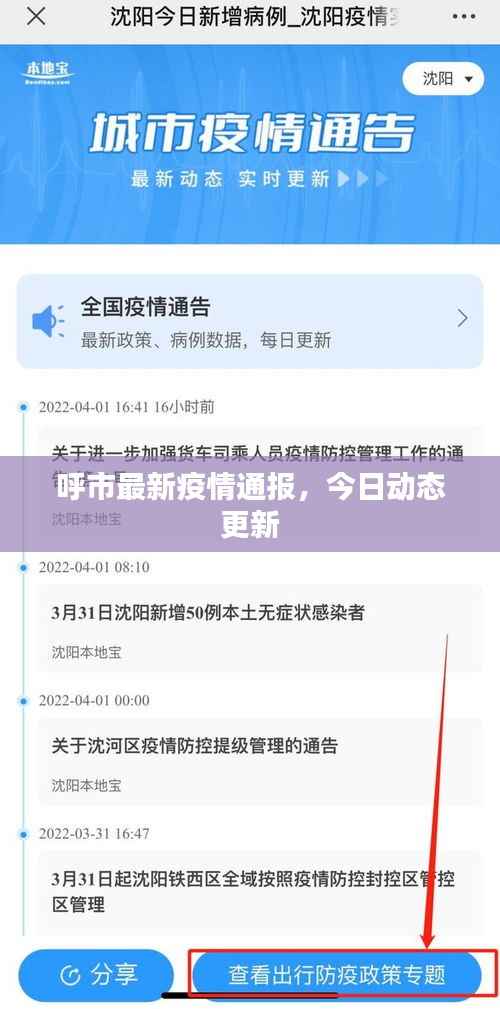 呼市最新疫情通报,今日动态更新
