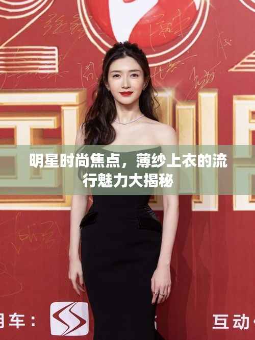 明星时尚焦点,薄纱上衣的流行魅力大揭秘