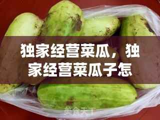 独家经营菜瓜,独家经营菜瓜子怎么样