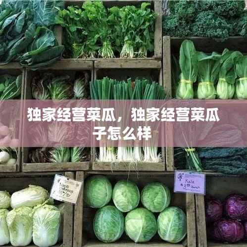 独家经营菜瓜,独家经营菜瓜子怎么样