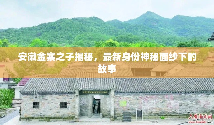 安徽金寨之子揭秘，最新身份神秘面纱下的故事
