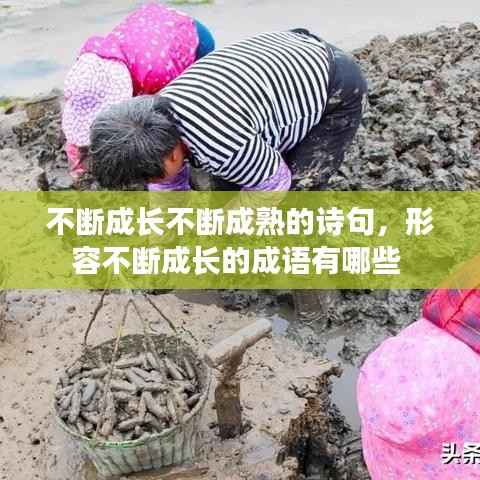 不断成长不断成熟的诗句,形容不断成长的成语有哪些