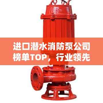 进口潜水消防泵公司榜单TOP，行业领先企业揭秘