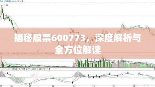 揭秘股票600773，深度解析与全方位解读